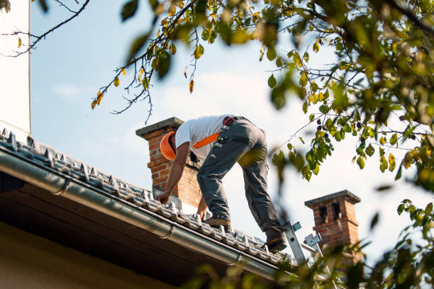 Best Roof Gutter Cleaning  in Arche, OK