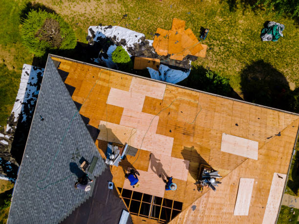 Best Metal Roofing Contractor  in Arche, OK