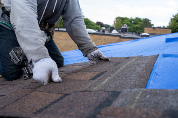 Best Roof Leak Repair  in Arche, OK